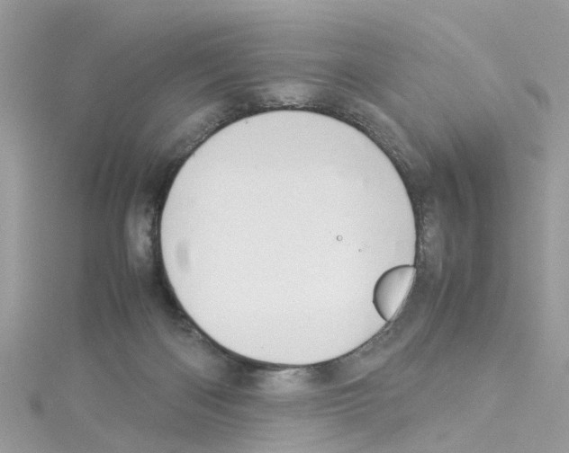 X0000114110122200911161126