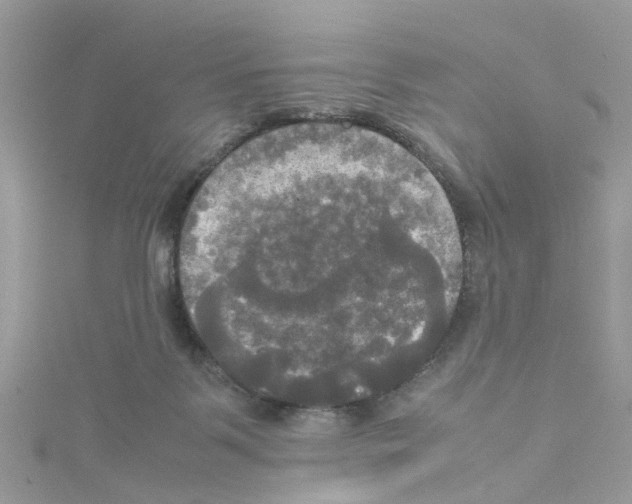 X0000114110123200911161126