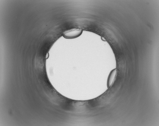 X0000114110129200911161126