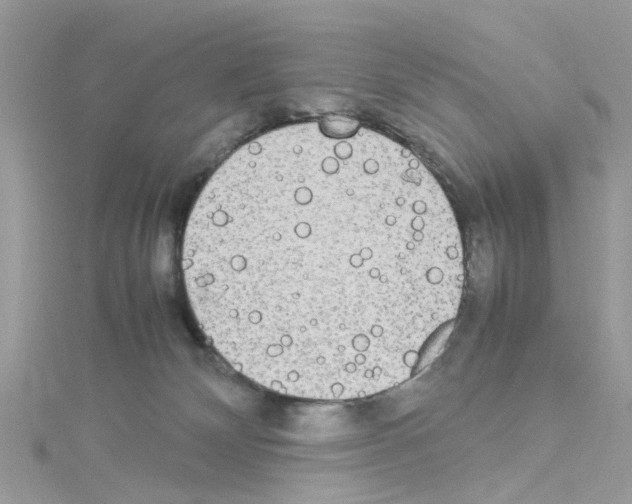 X0000114110132200911161126