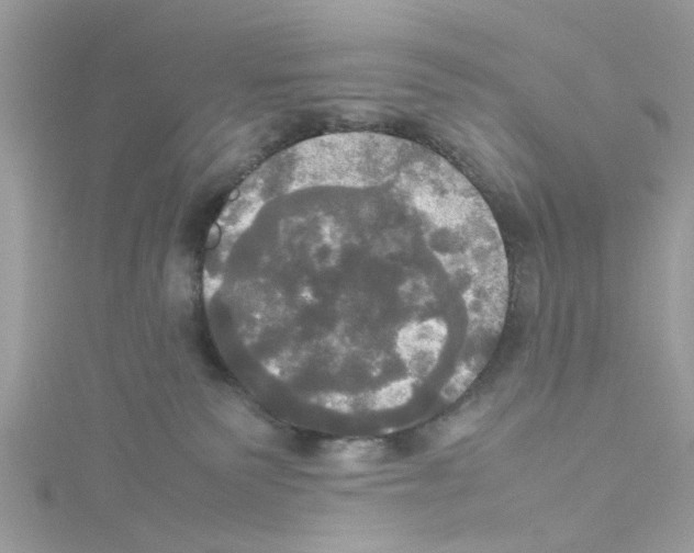 X0000114110135200911161126