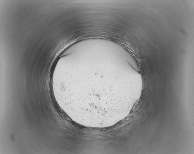 X0000114110146200911161125