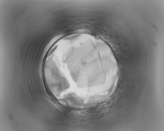 X0000114110147200911161125