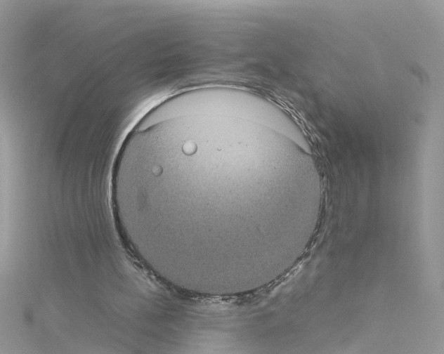 X0000114110148200911161125