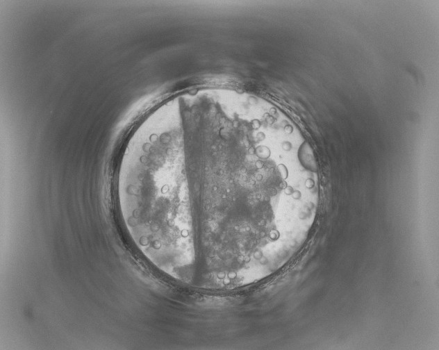 X0000114110149200911161125