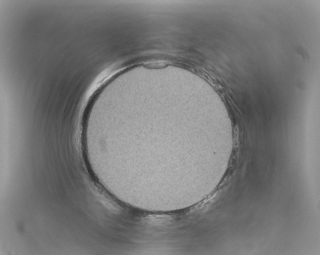 X0000114110150200911161125