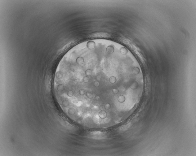 X0000114110153200911161126