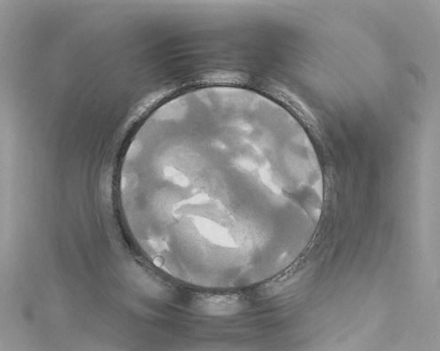 X0000114110155200911161126