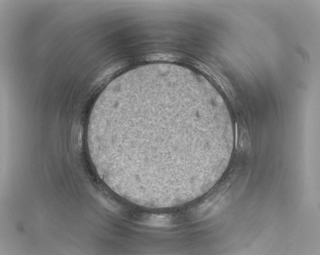 X0000114110157200911161126