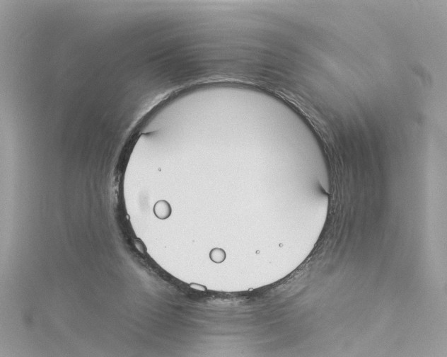 X0000114110160200911161126