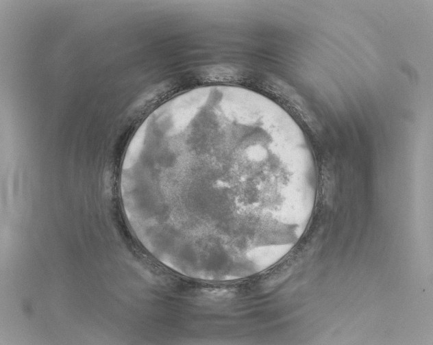 X0000114110161200911161126