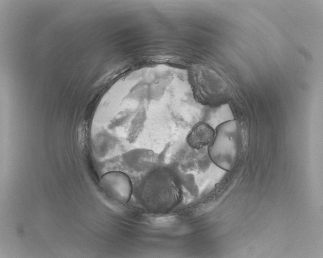 X0000114110165200911161126