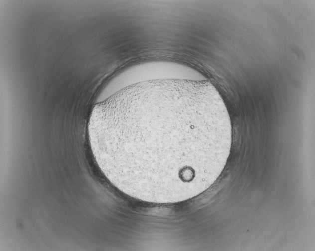 X0000114110168200911161126