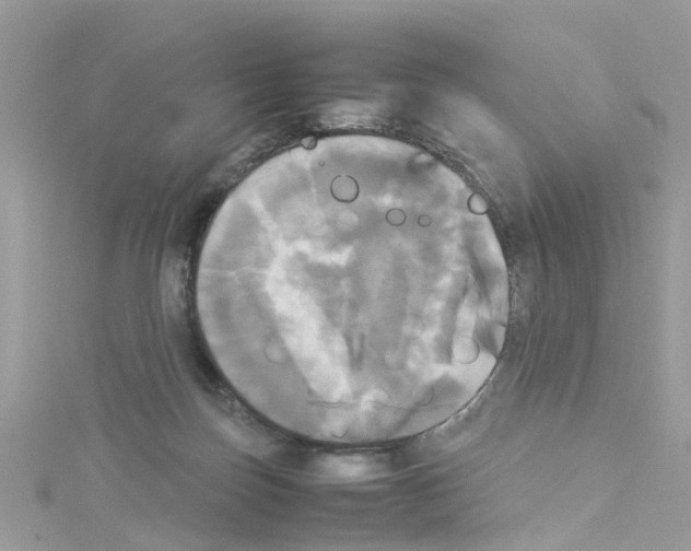 X0000114110171200911161126