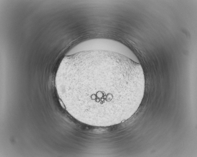 X0000114110172200911161126