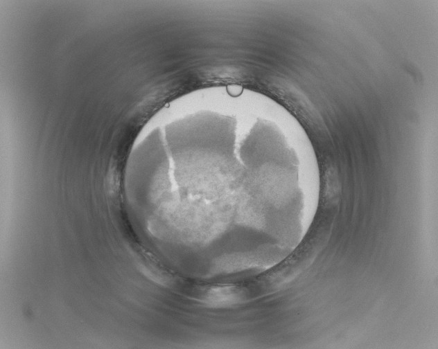 X0000114110173200911161126