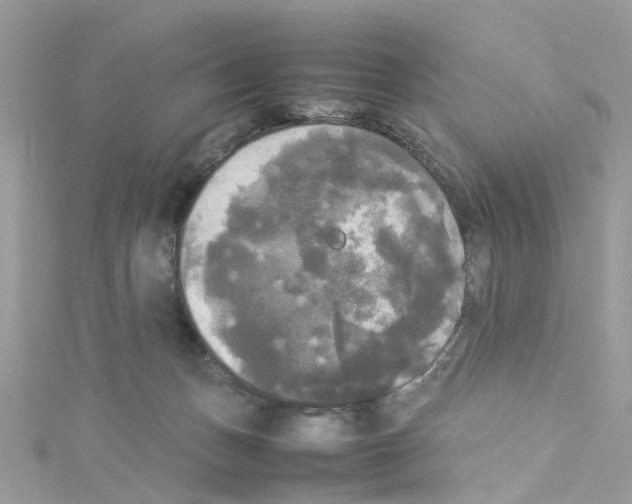 X0000114110175200911161126