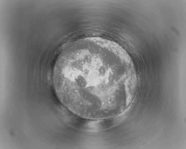 X0000114110178200911161126