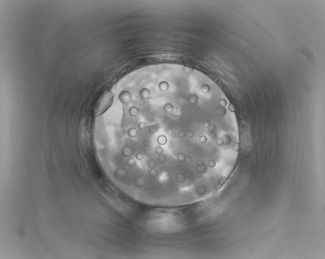 X0000114110179200911161126