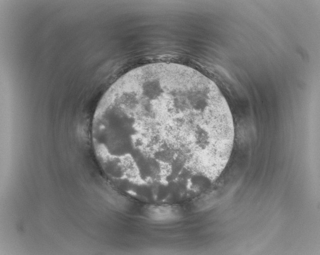 X0000114110181200911161126