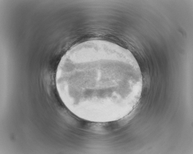 X0000114110182200911161126