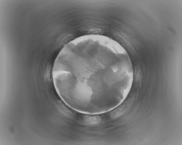 X0000114110185200911161126