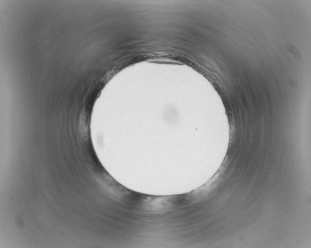 X0000114110186200911161126