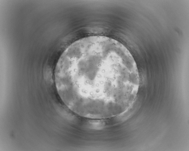 X0000114110187200911161126