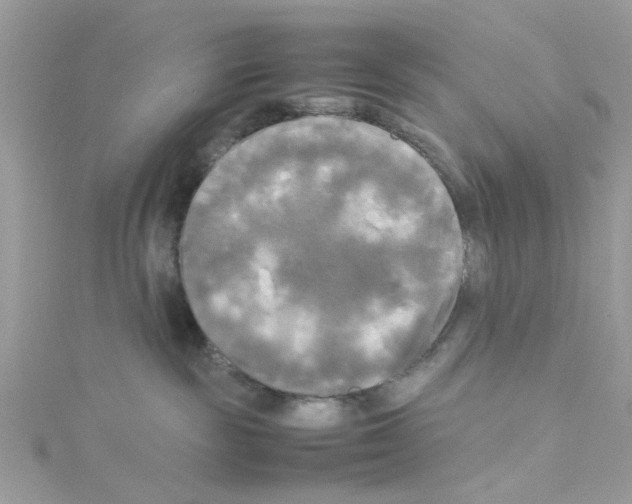 X0000114110189200911161126