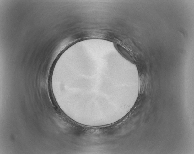 X0000114110195200911161125