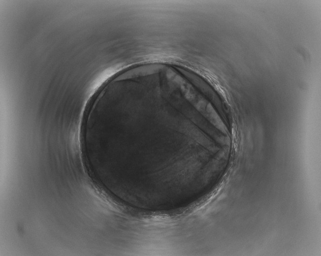 X0000114110196200911161125