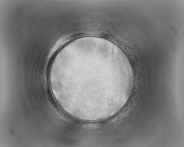 X0000114110198200911161125