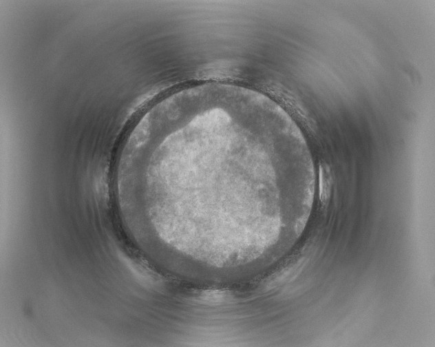 X0000114110204200911161125