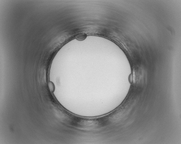 X0000114110205200911161125