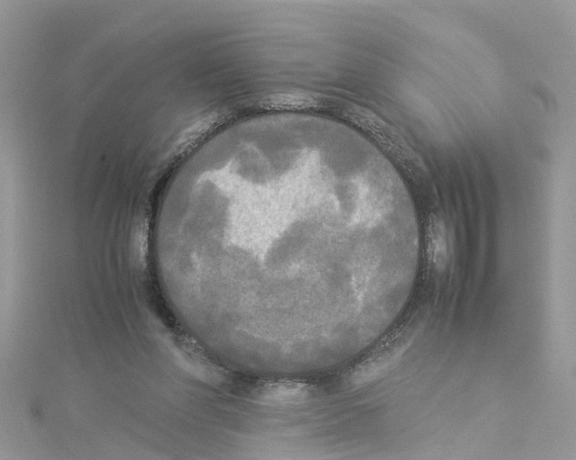 X0000114110206200911161125