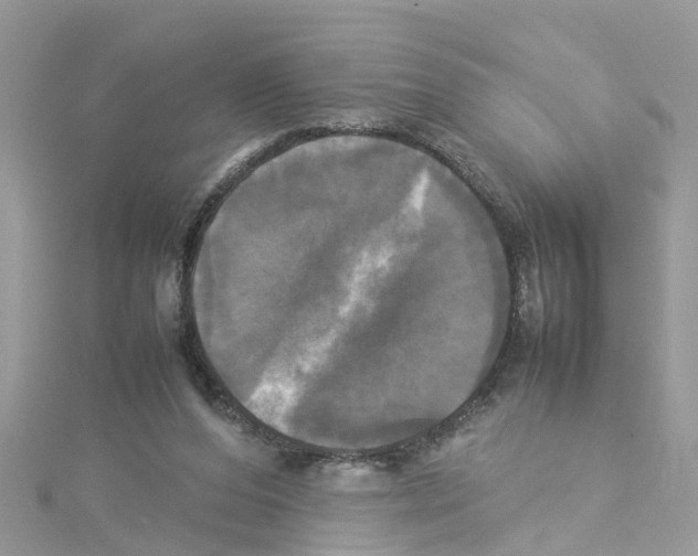 X0000114110208200911161125