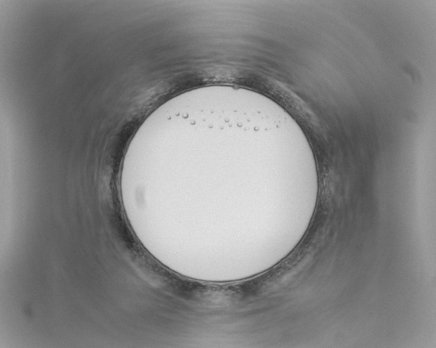 X0000114110209200911161125