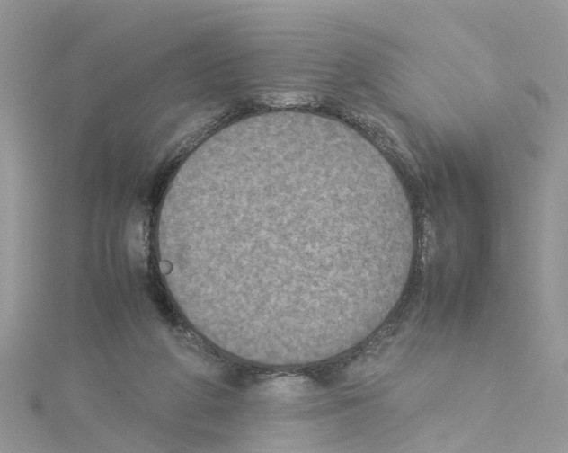 X0000114110210200911161125