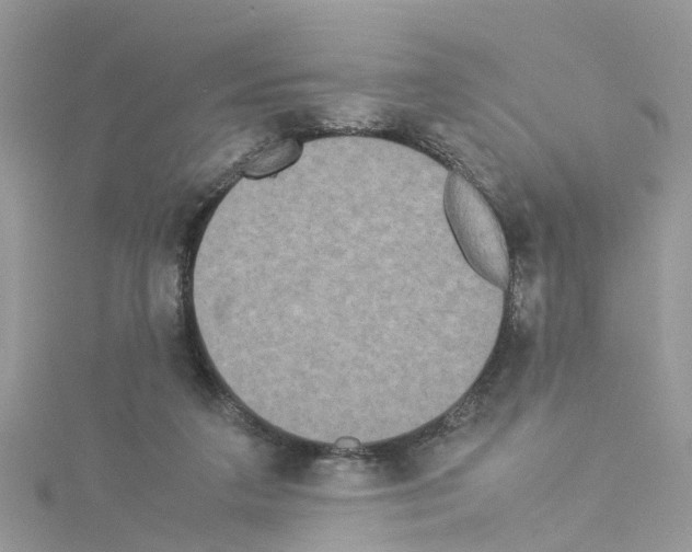 X0000114110211200911161125