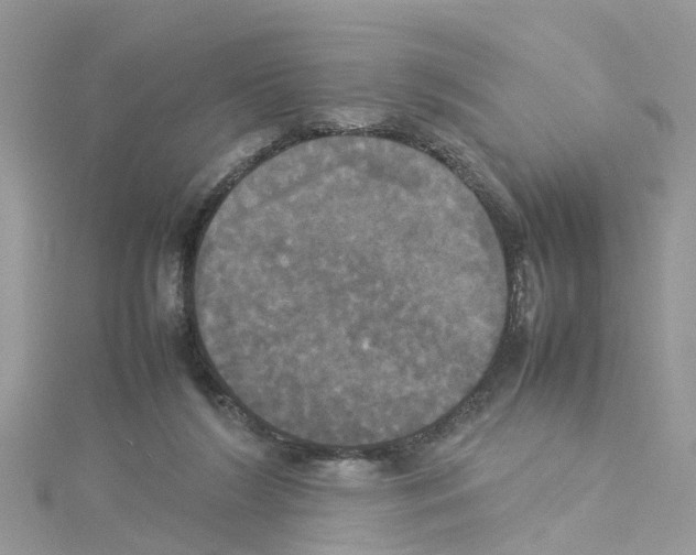 X0000114110212200911161125