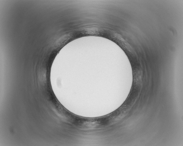 X0000114110213200911161125