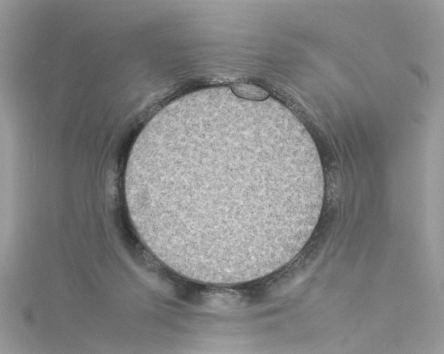 X0000114110215200911161125