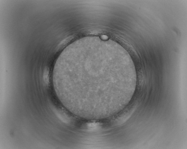 X0000114110216200911161125