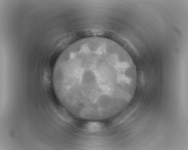 X0000114110218200911161125