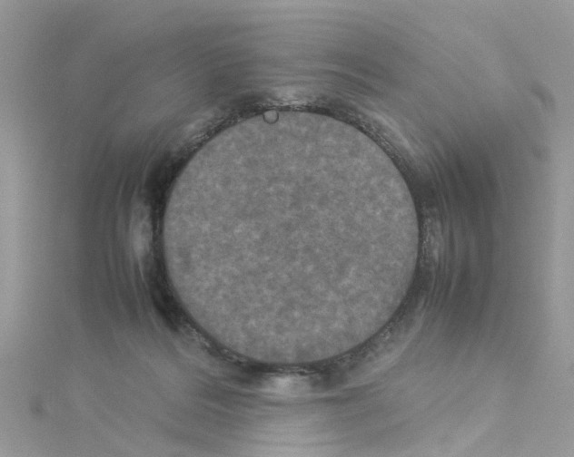 X0000114110220200911161125