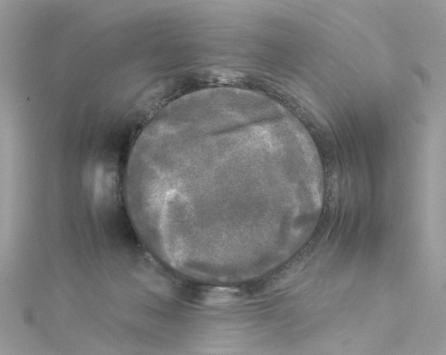 X0000114110222200911161125