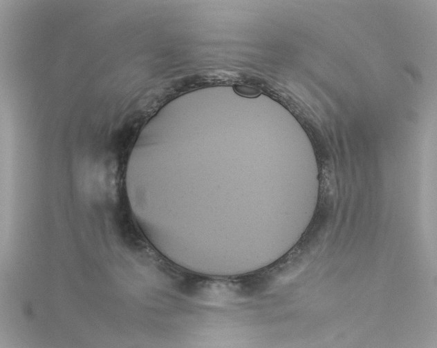 X0000114110223200911161125