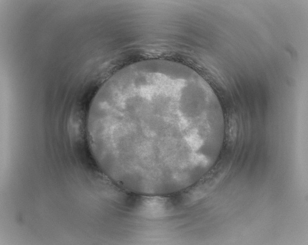 X0000114110226200911161125