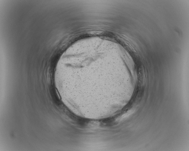 X0000114110227200911161125