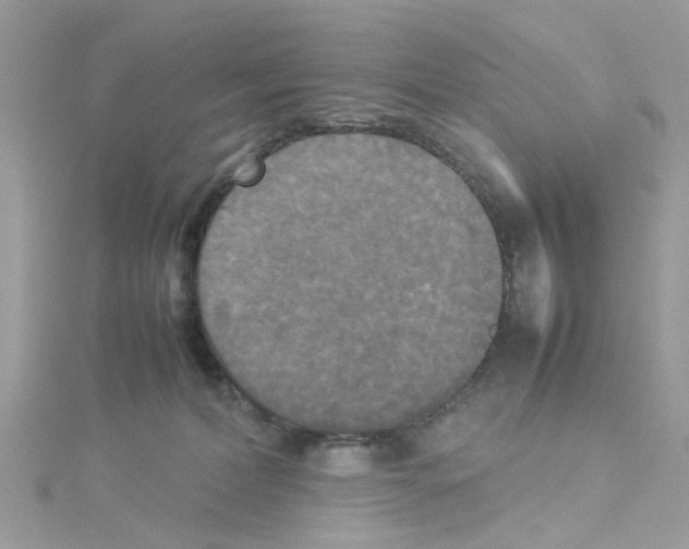 X0000114110228200911161125